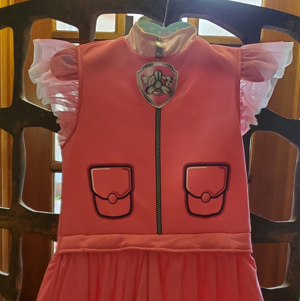 Girls Sky Paw Patrol costume
